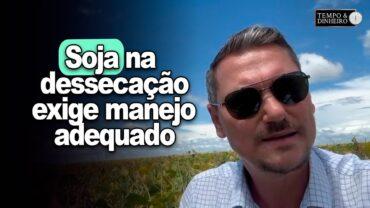 Soja na dessecação exige manejo adequado, alerta Alexandre Gazolla