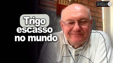 Trigo escasso no mundo, informa Vlamir Brandalizze
