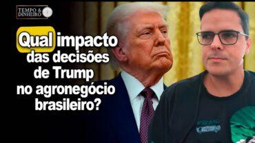 Trump, trigo e dólar. Qual impacto das decisões do presidente dos EUA no agronegócio brasileiro?