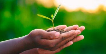 Editorial – NA DEFESA DO AGRO