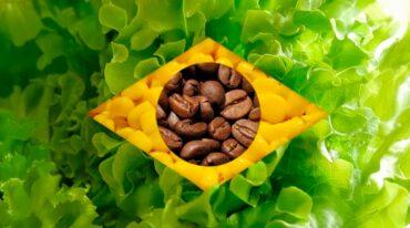 EDITORIAL – O AGRO MERECE RESPEITO