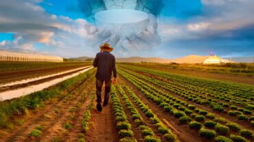 Taxar o agro resulta em fome, inflação e miséria