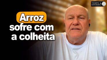 Arroz sofre com a colheita, informa Brandalizze
