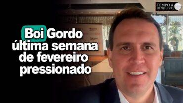 Boi gordo encerra ultima semana de fevereiro pressionado, informa Thiago Bernardino, do CEPEA
