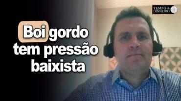 Boi gordo tem pressão baixista e com mercado ajustado, informa Thiago Bernardino, do CEPEA