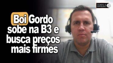 Boi gordo sobe na B3 e busca preços mais firmes no mercado físico,informa Thiago Bernardino,do CEPEA