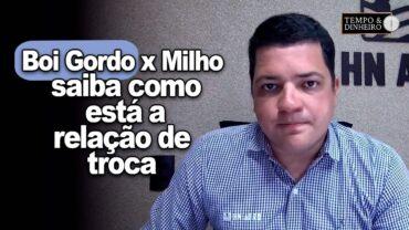 Boi gordo x milho: saiba como está a relação de troca com Hyberville Neto