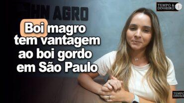 Boi magro tem vantagem de preços em relação ao boi gordo em São Paulo, informa Isabella Camargo
