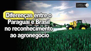 Conheça as diferenças entre o Paraguai e Brasil no reconhecimento ao agronegócio: Viva o Paraguai!