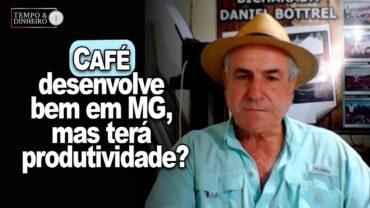 EXCLUSIVO: Café desenvolve bem em MG, mas será que vai ter produtividade?
