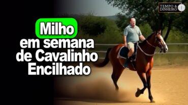 Milho em semana de Cavalinho Encilhado, Brandalizze explica