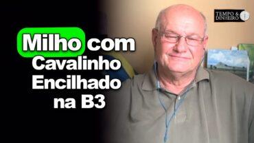 Milho com Cavalinho Encilhado na B3, Brandalizze comenta