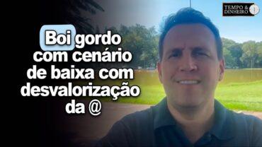 Boi gordo com cenário de baixa com desvalorização da @, informa Bernardino