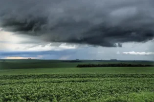 Zarc avança e ajuda produtores de soja no enfrentamento às mudanças climáticas