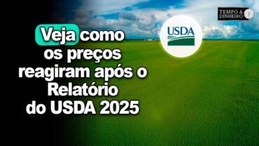 Pouco impacto nos preços após divulgação de relatório mensal USDA