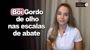 Boi gordo de olho nas escalas de abate mais confortáveis, informa Isabella Camargo
