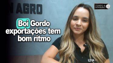Boi gordo: exportações na primeira quinzena de fevereiro tem bom ritmo, informa Isabella Camargo
