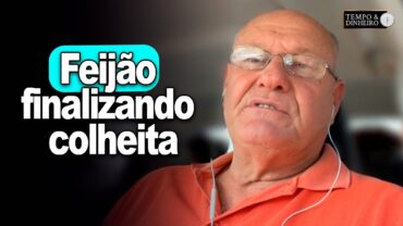 Feijão finalizando colheita, afirma Brandalizze