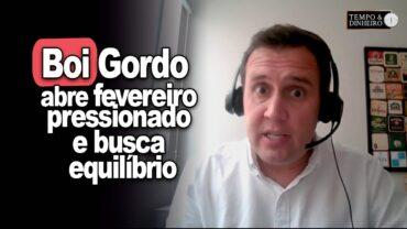 Boi gordo abre fevereiro pressionado e busca equilíbrio entre oferta e demanda, informa T. Bernardino