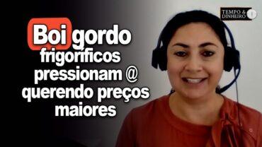 Boi gordo: frigorífico pressiona @ buscando retomar margens maiores, informa Shirley Menezes