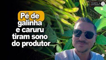 Pé de galinha e caruru tiram sono do produtor de Norte a Sul alerta Alexandre Gazolla