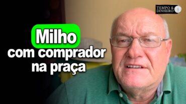 Milho com comprador na praça, analisa Brandalizze