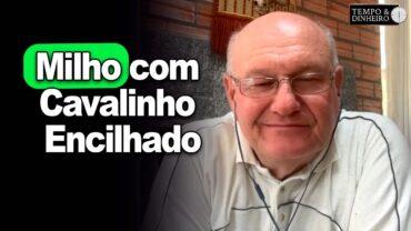 Milho com Cavalinho Encilhado, afirma Vlamir Brandalizze