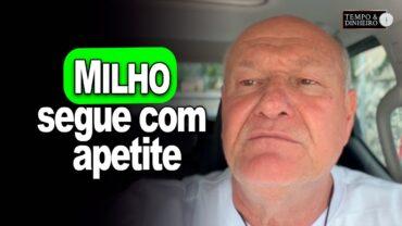 Milho segue com apetite, analisa Vlamir Brandalizze