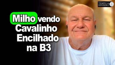 Milho vendo Cavalinho Encilhado na B3, analisa Brandalizze