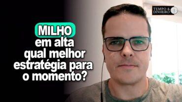 Milho em alta: qual melhor estratégia para o momento? Maurício Bellinelo explica
