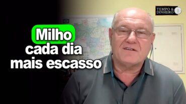 Milho cada dia mais escasso, Brandalizze comenta