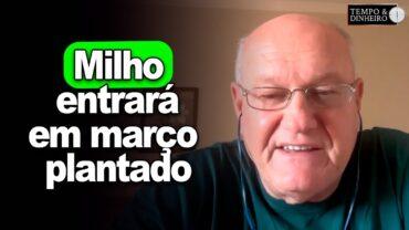 Milho entrará em março plantado, explica Brandalizze