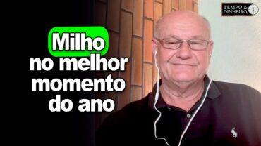 Milho no melhor momento do ano, afirma Brandalizze
