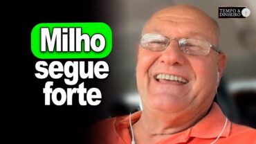Milho segue forte, Brandalizze comenta