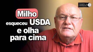 Milho esqueceu USDA e olha para cima, avalia Vlamir Brandalizze