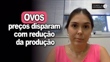 EXCLUSIVO: Ovos: preços disparam com redução da produção com descarte de poedeiras, informa Claudia Scarpelin