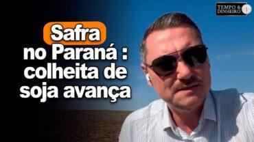 Safra no PR: colheita de soja avança e condições para lavouras de milho e feijão implantadas