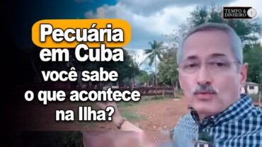 Pecuária em Cuba: você sabe o que acontece na Ilha? Veja com Antônio Cabreira