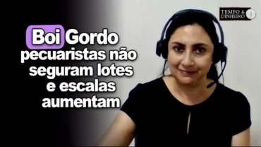 Boi gordo: pecuaristas não seguram lotes de animais terminados e escalas aumentam, diz S. Menezes