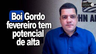 Boi gordo: fevereiro tem potencial de alta com reposição de estoques após feriado chinês