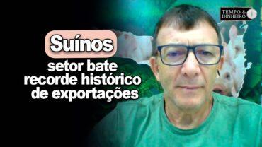 EXCLUSIVO: Suínos: setor bate recorde histórico de exportações mas convive com falta de mão de obra