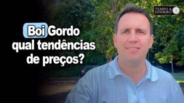 Boi gordo: qual tendências de preços? Thiago Bernardino, do CEPEA, comenta