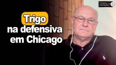 Trigo na defensiva em Chicago, explica Vlamir Brandalizze
