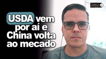 Véspera de USDA e volta da China depois do feriado. Dá para montar estratégia de defesa?