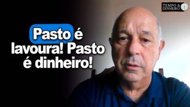 EXCLUSIVO: Atenção para as pastagens! Pasto é lavoura! Pasto é dinheiro!