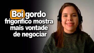 Boi gordo: frigorífico mostra mais vontade de negociar, mas pecuarista segue resistente