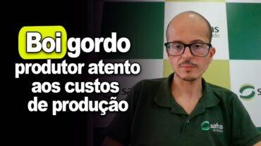 Boi gordo: produtor atento aos custos de produção e reposição neste primeiro semestre