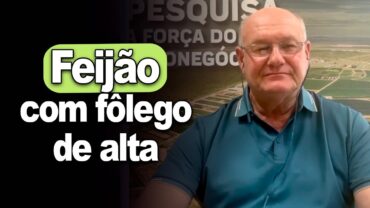 Feijão com fôlego de alta em março, Brandalizze explica