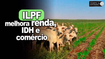 ILPF – Integração Lavoura Pecuária Floresta – melhora renda, IDH e comércio? reportagem de Fred Olivi