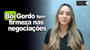 Boi gordo tem firmeza nas negociações. As margens estão boas? Isabella Camargo